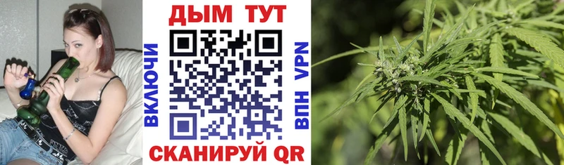 Виды наркотиков купить Шумерля Cocaine  ГАШ  Псилоцибиновые грибы  Канабис  Alpha-PVP  АМФЕТАМИН 