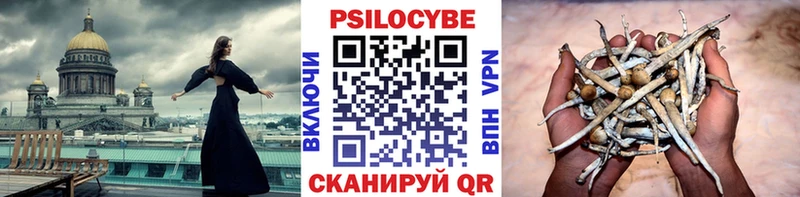Псилоцибиновые грибы мицелий Шумерля