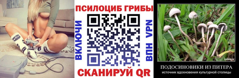 Псилоцибиновые грибы Psilocybine cubensis  Шумерля 